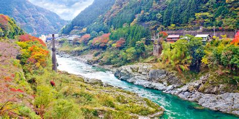 四国中央市 中古住宅 なぜかカエルが住み着いている理由