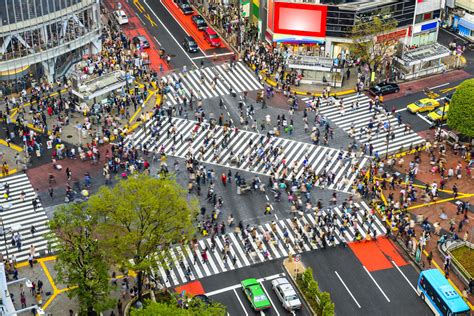 パークノヴァ渋谷: 未来都市の夢と現実の交差点